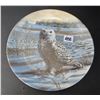 Image 1 : 1980s "The Snow Owl" décor plate by Jim Beaudoin, limited Ed.