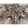 Image 2 : Real fur rug- springbok?- 40"x40"