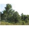 Image 14 : 40 +/- Acres of Native Blackjack Timber – Ringwood Area – Wildlife Land – Home Sites