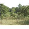 Image 4 : 40 +/- Acres of Native Blackjack Timber – Ringwood Area – Wildlife Land – Home Sites