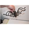 Image 2 : Cast iron coat hooks