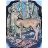 Image 2 : Deer clock picture -22"H