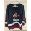 Image 1 : VINTAGE TEAM CANADA HOCKEY JERSEY