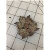 Image 2 : CANADIAN SCOTTISH CAP BADGE