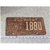 Image 1 : Florida "Horseless carriage" license plate - 1880 permanent