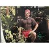 Image 1 : SEAN ASTIN SIGNED 50 FIRST DATES 8 X  10 (WWOC COA)