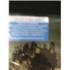 Image 2 : DOOBIE BROTHERS BAND SIGNED VINYL RECORD (AUTHENTICATION DIRECT)