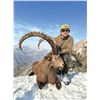 Image 2 : Bukharan Ibex Hunt, Tajikistan