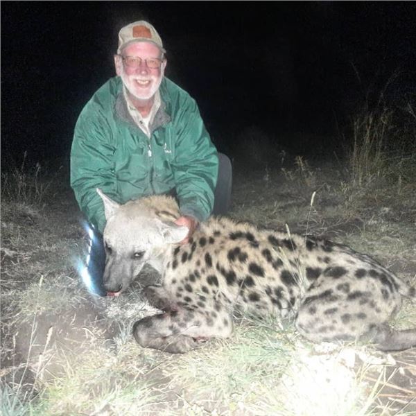 6 Day/7 Night Hyena hunt in Zimbabwe