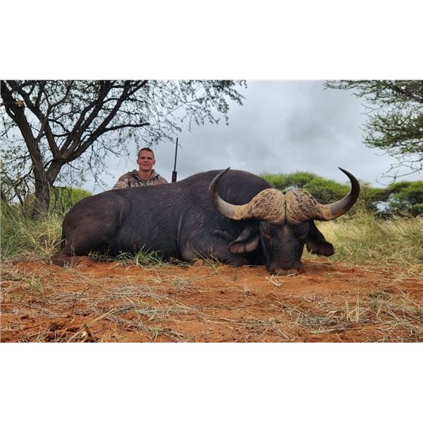 Buffalo and Sable hunt