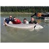 Image 5 : Sturgeon Fishing Trip