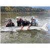 Image 6 : Sturgeon Fishing Trip