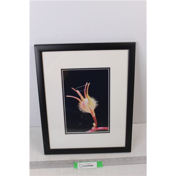 Bohemia Images Framed Picture, Photography By Jerry and Alena Kott- 12.5'' x 15.5''