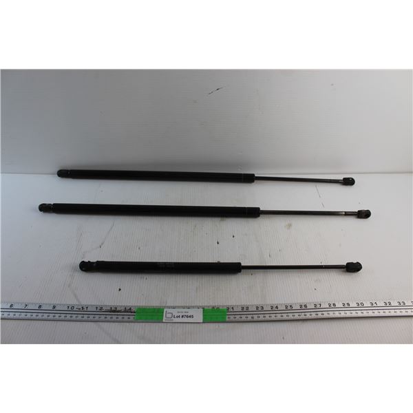 (3) Stabilus & Hyundai Gas Struts
