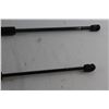 Image 5 : (3) Stabilus & Hyundai Gas Struts