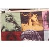 Image 5 : Taylor Swift The Eras Tour Flag/Banner- Not Authenticated, 39.5'' x 59''