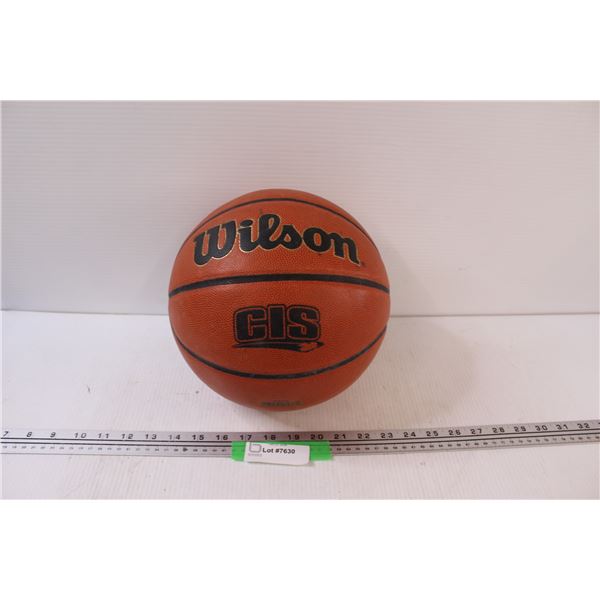 Wilson Basketball