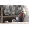 Image 9 : Vintage Wooden Pepsi Cola Crate and (26) Vintage Pop Glass Bottles