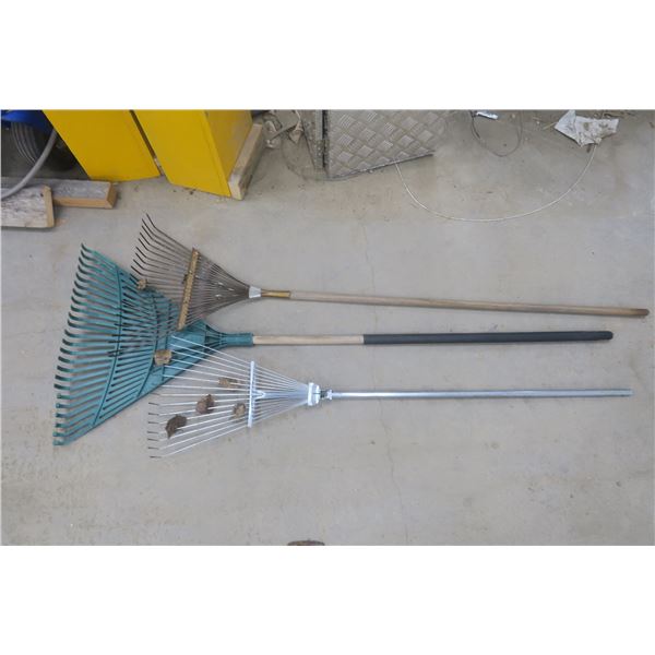 3 rakes
