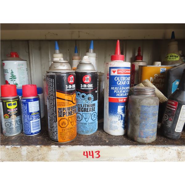 shelf of automotive supplies