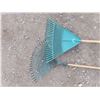 Image 4 : two rakes