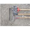 Image 3 : rake and two garden tools