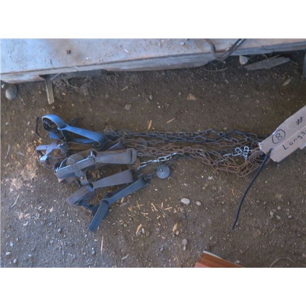 long spring animal traps