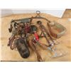 lot of horse supplies, brushes, picks, quarter horse bit