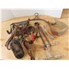 Image 4 : lot of horse supplies, brushes, picks, quarter horse bit