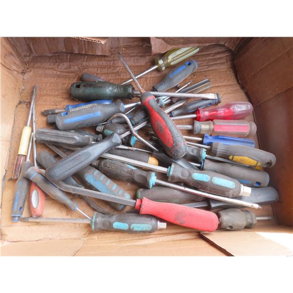 lot of screw drivers