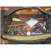 Image 3 : toolbag with assorted tools