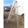 Image 2 : 6ft aluminium painters ladder