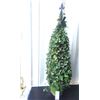 Image 2 : Faux Ivy Topiary B