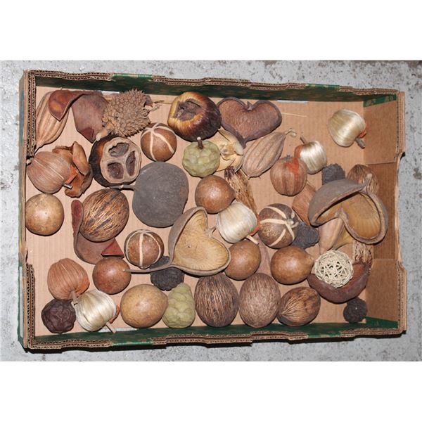 BRAZIL FULL BOX NATURAL DRIED PLANTS