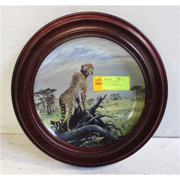COLLECTIBLE PLATE SPOTTED SENTINEL IN ROUND FRAME