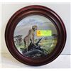 Image 1 : COLLECTIBLE PLATE SPOTTED SENTINEL IN ROUND FRAME