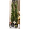 Image 1 : NEW LAIWOT 4 FEET ARTIFICAL CEDAR TREES SET OF 2