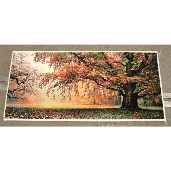 FREIGHT CLAIM CARPET/RUG APPROX 20" X 40"