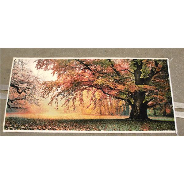 FREIGHT CLAIM CARPET/RUG APPROX 20" X 40"