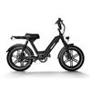 Image 1 : Himiway Escape Pro Long Range Electric Bike