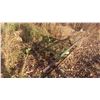 Image 1 : **OFFSITE**3PH 7ft Diamond Harrows
