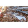 Image 2 : **OFFSITE** Metal Conduit, Metal H Trail, Aluminum Decking, PVC 