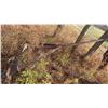 Image 1 : **OFFSITE** Rolling Metal A Frame Hoist Complete - Disassembled 