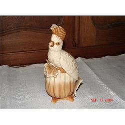 COCKATOO PITCHER "ROYALTAN