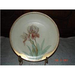 BAVARIA HAND PAINTED IRIS PLATE