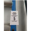 Image 2 : Blue FG 8' Stepladder