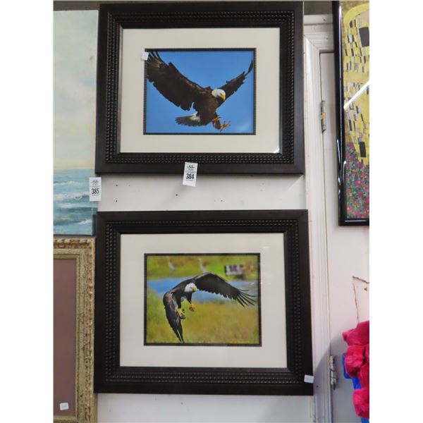 Framed Eagle Photographs - 2