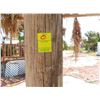 Image 1 : Standard Round Tiki Hut w/Table - Needs Rethatched - *(Removal By 10/25 By Appt.
