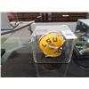 Image 1 : 5-Mini Signed Baseball Helmets in Shadow Box - 5 X $