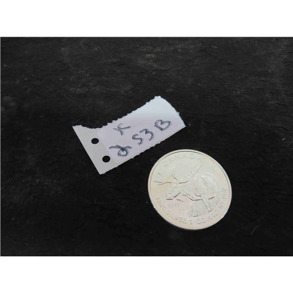 2012 $5 .9999 Silver Coin